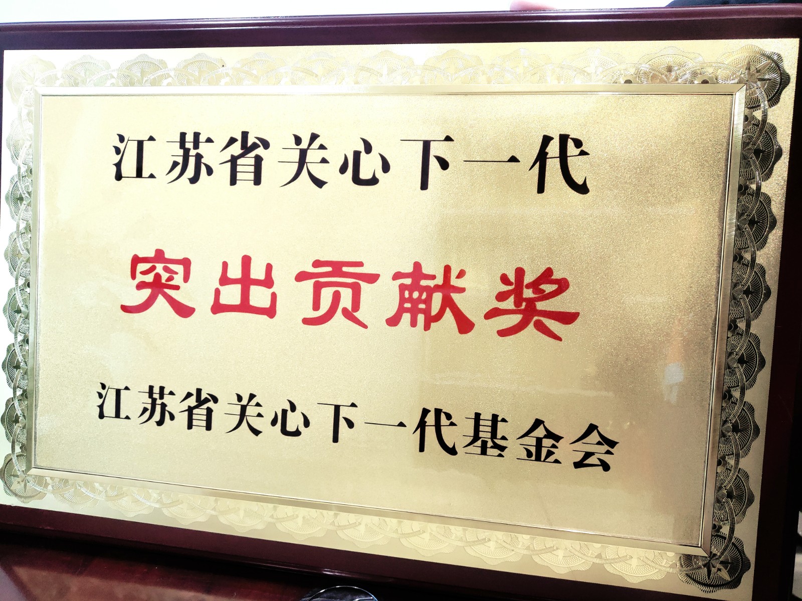 江苏省关心下一代突出贡献奖.jpg